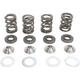 KIBBLEWHITE 9696000 Kibblewhite Spring Kit 96-96000