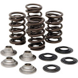 KIBBLEWHITE 4040660 Kibblewhite Spring Kit 40-40660