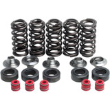 KIBBLEWHITE 8080100 Kibblewhite Valve Spring Kit 80-80100