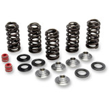 KIBBLEWHITE 8080066 Kibblewhite Spring Kit 80-80066
