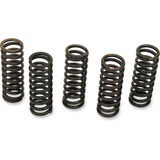 BARNETT 5016105079 Barnett Spring Set 501-61-05079