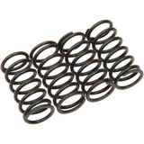 BARNETT 5013804132 Barnett Clutch Spring Kit 501-38-04132