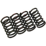 BARNETT 5018704009 Clutch Springs 501-87-04009