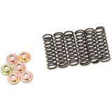 Barnett Clutch Spring Set 505-42-06031