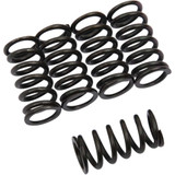 BARNETT 5014005027 Clutch Springs 501-40-05027