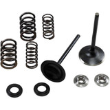 KIBBLEWHITE 3033250 Kibblewhite Intake Spring Kit 30-33250