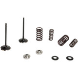 Kibblewhite Intake Valve Kit 60-60470