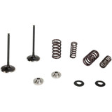 KIBBLEWHITE 6060470 Kibblewhite Intake Valve Kit 60-60470