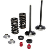 KIBBLEWHITE 3032440 Kibblewhite Spring Kit - Stainless Steel 30-32440