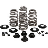 KIBBLEWHITE 2021300 Kibblewhite Spring Kit - .610" - Evolution/Twin Cam 20-21300