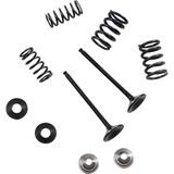 MOOSE RACING M8082360 Moose Racing Valve And Spring Kit M80-82360