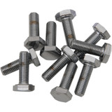 Drag Specialties Bolts - Hex Head/Replacement - Fine Thread - 1/4"-28 X 5/8" - 10 Pack