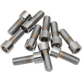 Drag Specialties Bolts - Socket-Head/Replacement - Smooth/Fine Thread - 3/8"-24 X 1-1/4" - 10 Pack