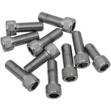 Drag Specialties Bolts - Socket-Head/Replacement - Knurled/Fine Thread - 3/8"-24 X 1-1/4" - 10 Pack
