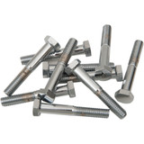 Drag Specialties Bolts - Hex-Head - Chrome - 5/16"-18 X 2"
