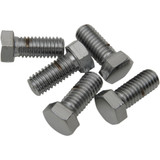 Drag Specialties Bolts - Hex-Head - Chrome - 7/16"-14 X 1"