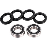 Factory Links Wheel Bearing Kit - Front - Cf Moto Fwk-F-001