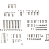 Figurati Designs Bolt Kit - Engine - Polished/Titanium - M8 Fd100-M8-Tbolt-Ss