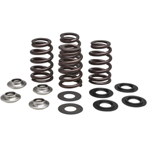 KIBBLEWHITE 9696500 Kibblewhite Beehive Valve Spring Kit 96-96500