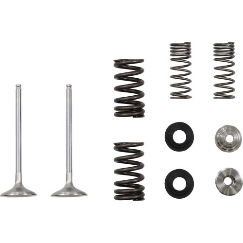 MOOSE RACING M4041660 Moose Racing Exhaust Valve M40-41660