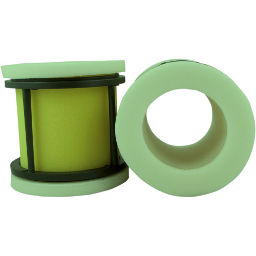 No Toil Pre-Oiled Air Filter With Cage - Polaris 3101