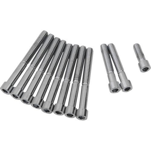 Drag Specialties Cover Bolts - Socket - Primary - Smooth - Xl