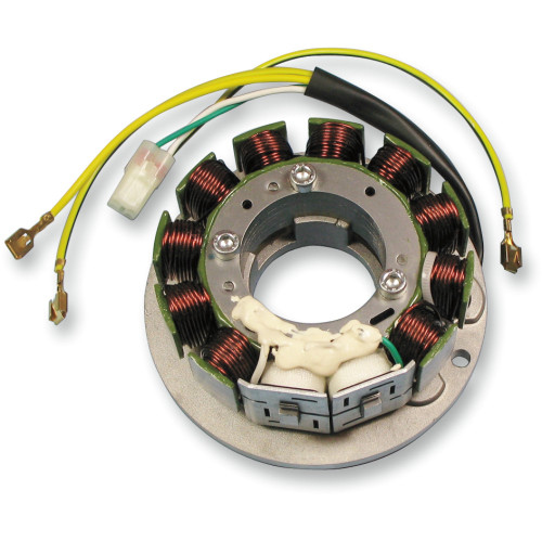 Rick'S Motorsport Electric Stator - Ski-Doo 24-101