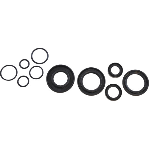 Vintco Oil Seal Kit - Kawasaki Kos013