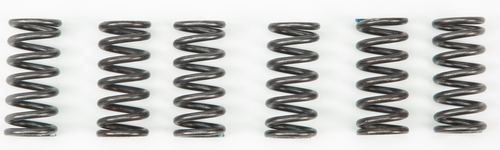 EBC CSK2 Ebc Clutch Springs Csk2 Csk2