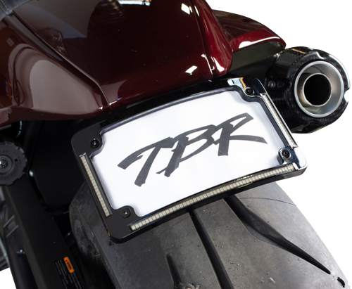 Tbr Sportster S Fender Eliminator Kit W/ Lp Light 013-541