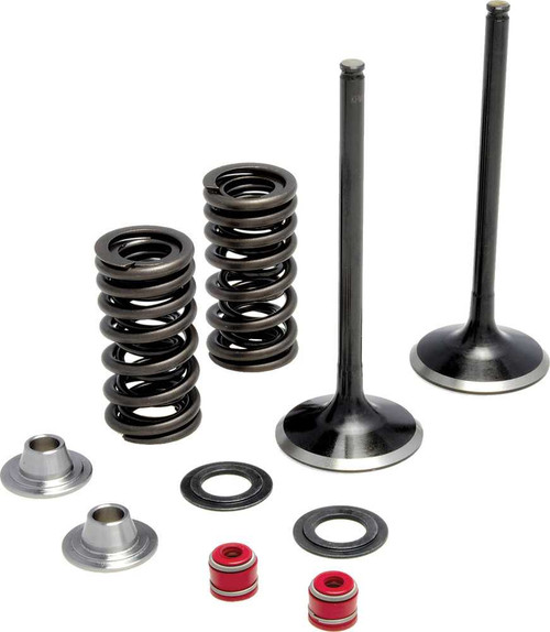 Kpmi 30-31210 Kpmi Intake Valve Spring Kit 30-31210