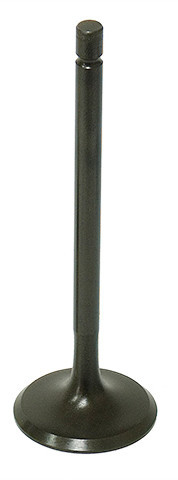 Bronco Intake Valve Xu-09500I