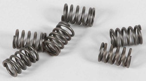 EBC CSK114 Ebc Clutch Springs Csk114 Csk114