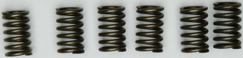 EBC CSK131 Ebc Clutch Springs Csk131 Csk131