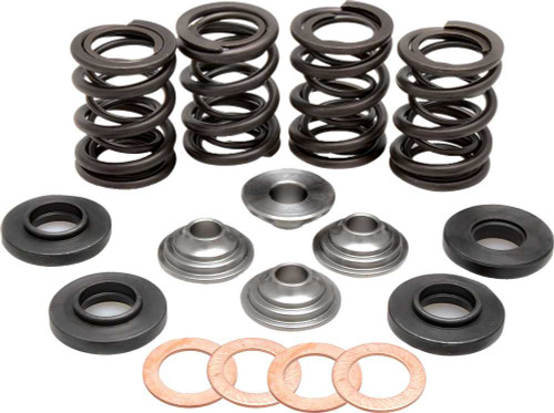 Kpmi 96-96000 Kpmi Racing Valve Spring Kit 96-96000