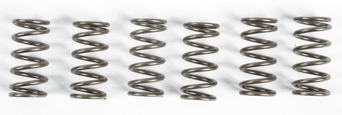 EBC CSK165 Ebc Clutch Springs Csk165 Csk165
