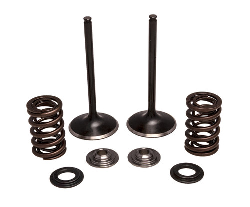 Kpmi Intake Valve/Spring Kit Stainless Steel 30-33200