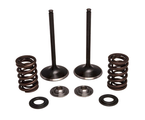Kpmi 30-33200 Kpmi Intake Valve/Spring Kit Stainless Steel 30-33200