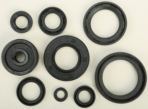 Vertex Oil Seal Set 822119