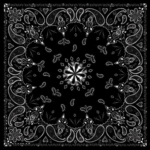 Zan Bandanna Black Paisley B001