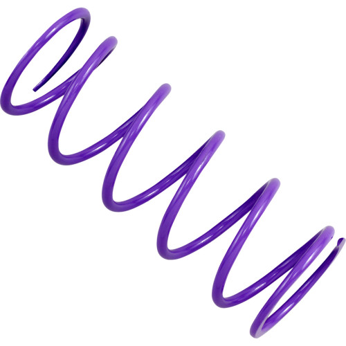 Epi Primary Spring Drs17