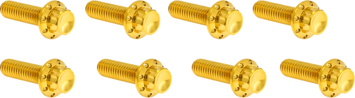 ARLEN NESS 300-937 Arlen Ness Hardware Kit Titanuim 12Pt Lifter Block Gold 300-937