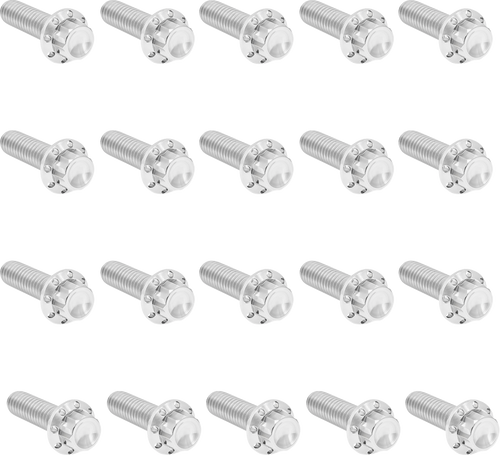 ARLEN NESS 300-944 Arlen Ness Hardware Kit Titanuim 12Pt Rocker Box Polish 300-944