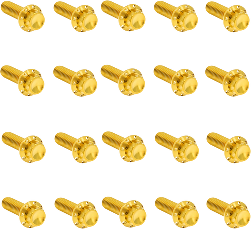 ARLEN NESS 300-946 Arlen Ness Hardware Kit Titanuim 12Pt Rocker Box Gold 300-946