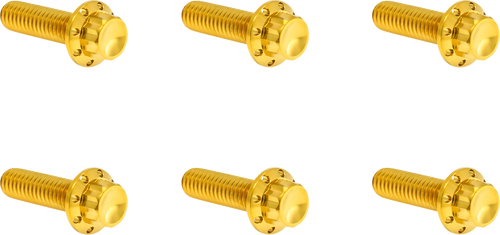 ARLEN NESS 300-949 Arlen Ness Hardware Kit Titanuim 12Pt Trans Top Cvr Gold 300-949