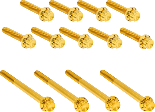 ARLEN NESS 300-991 Arlen Ness Hardware Kit Titanuim 12Pt Primary Cover Gold 300-991