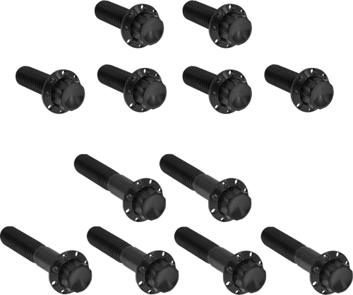 ARLEN NESS 300-993 Arlen Ness Hardware Kit Titanuim 12Pt Rocker Box Black 300-993