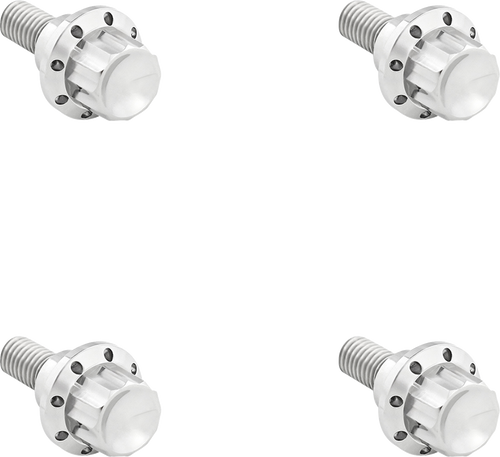 ARLEN NESS 300-809 Arlen Ness Bolt Kit Titanium 12Pt Windshield Polish 300-809