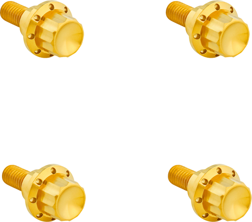 Arlen Ness Bolt Kit Titanium 12Pt  Windshield Gold 300-811