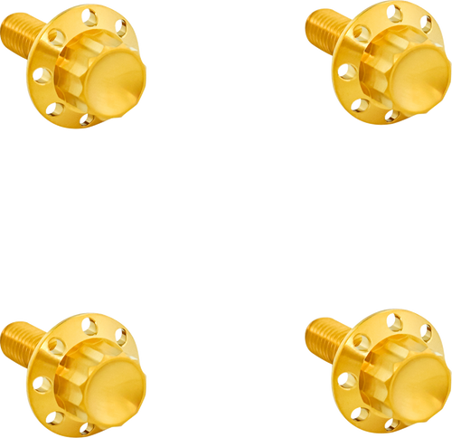 ARLEN NESS 300-817 Arlen Ness Bolts Kit Titanium 12Pt Front Fender Gold 300-817